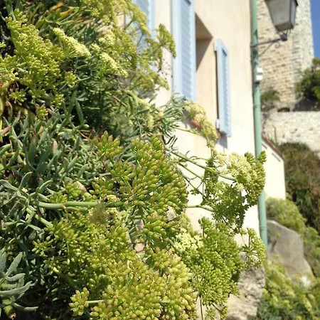 Studio Crista Apartment *
