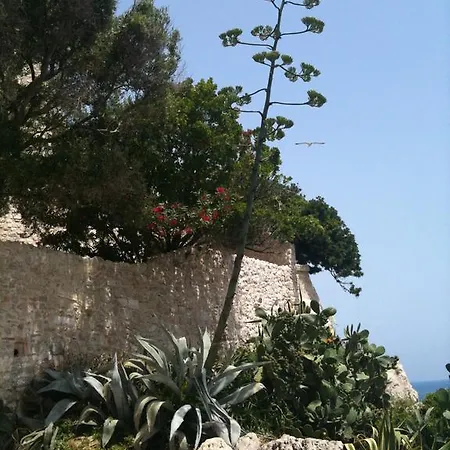 Apartment Studio Crista Antibes